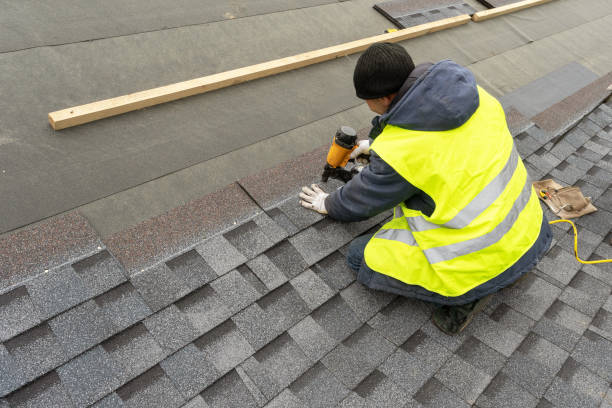 Best Roof Maintenance Services  in Bigfork, MT