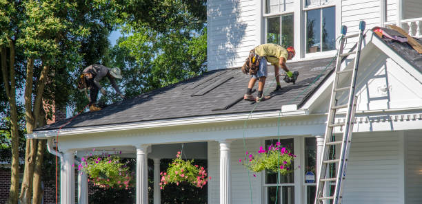 Best Roof Repair Services  in Bigfork, MT