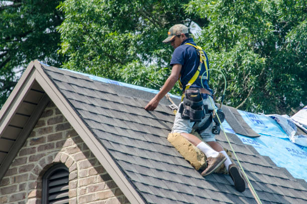 Best Residential Roofing Contractor  in Bigfork, MT